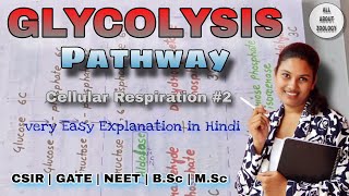 GLYCOLYSIS PATHWAY Explain in Detail  Hindi Explanation  Biochemistry [upl. by Annayrb532]