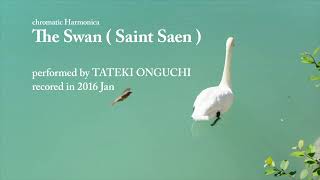 The Swan  Saint Saen [upl. by Shurwood]