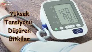 Yüksek Tansiyonu Düşüren Bitkiler Nelerdir [upl. by Eahsal]