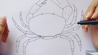 CARA MENGGAMBAR KEPITING  HOW TO DRAW CRAB [upl. by Layla]