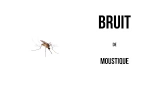 BRUIT DE MOUSTIQUE 2MIN [upl. by Orrin]