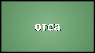 Orca Meaning [upl. by Werdna]