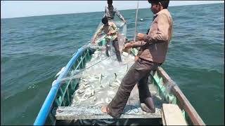 Haw To Deep Sea Fishing Trips Mangrol Bara Sea Fishing Amazing [upl. by Nide59]