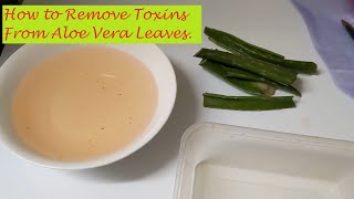 How to RemoveToxins From Aloe Vera Leaf [upl. by Nuhsal98]