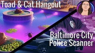 🟣The Toad Cat Hangout  LIVE Baltimore City Police Scanner  LIVE Wildlife Cam  Cats amp Critters [upl. by Kryska78]