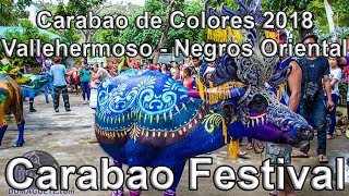 Carabao de Colores 2018  Carabao Festival in Vallehermoso [upl. by Aidyl]