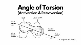 Angle of Torsion [upl. by Ysac]