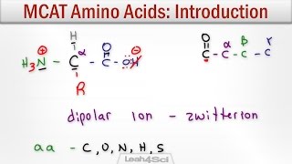 Amino Acids Intro to Structure Charge Classification and Reactions [upl. by Aigil]