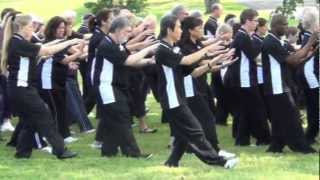 Dr Paul Lam  Tai Chi for Arthritis  Demonstration [upl. by Leeth539]