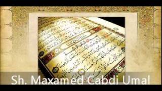 Tafsiir Surah 110 AnNasr  Sh Maxamed Cabdi Umal [upl. by Allyn]