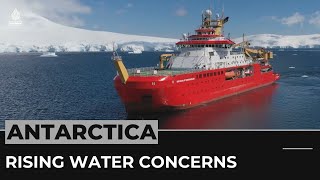 Scientists warn of irreversible sea ice melting in Antarctica [upl. by Nogas]