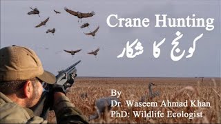 Crane Hunting کونج کا شکار [upl. by Khudari]