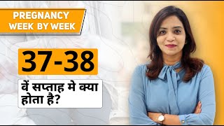 37th  38th week of Pregnancy  Pregnancy week by week in Hindi Dr Pallavi  Femcare Fertility [upl. by Aketal451]