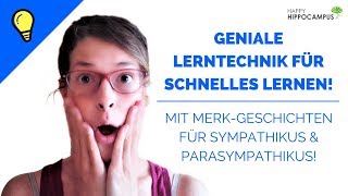 Schneller lernen mit der Geschichtenmethode So merkst du dir das vegetative Nervensystem [upl. by Inimod]