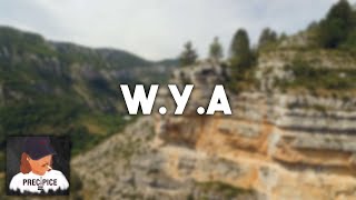 WYA  CDOT 416 [upl. by Nairot]