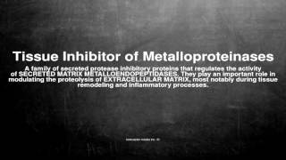 Medical vocabulary What does Tissue Inhibitor of Metalloproteinases mean [upl. by Rhyne589]