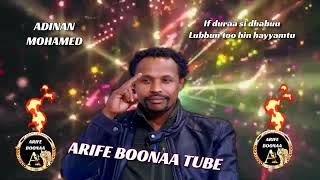 Adinan Mohamed  If duraa si dhabuu lubbun too hin hayyamtu Best oromo music [upl. by Ciapha]