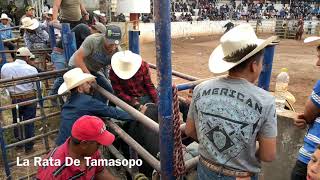 Jaripeo En Cerritos Las Lomas Pt1 [upl. by Annyl]