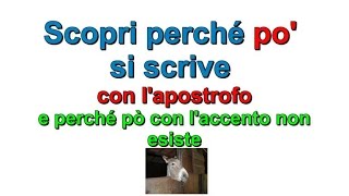 Perché PO si scrive con lAPOSTROFO  Lingua Italiana Tutorial  MarZen [upl. by Eugaet505]