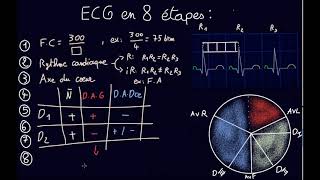 ECG en 8 étapes  Docteur Synapse [upl. by Florette480]