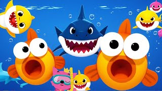 baby shark song 🦈 shark baby for kids  song do do do  Nurseryrhymes kidssongs babysharkdoodoo [upl. by Campagna966]