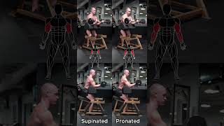 Barbell preacher curls Barbell preacher curls supinated Barbell preacher reverse curls pronated [upl. by Malvie]