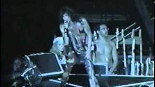 Aerosmith Cryin Live Chicago 94 [upl. by Pompea218]