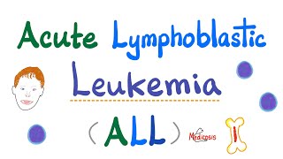 Acute Lymphoblastic Leukemia ALL  Symptoms Pathogenesis Diagnosis  Down Syndrome  Hematology [upl. by Allemat]