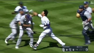 fight in Nolan Arenado and the pitcher Luis Perdomo [upl. by Heller]