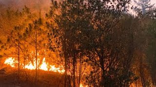 California Wildfires Washington fire near Jamestown and Sonora In Tuolumne County [upl. by Airamzul]