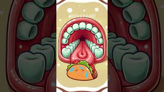 From Mouth to Colon The Journey of Food Through the Digestive System [upl. by Matthia611]