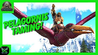 Taming a Pelagornis and Taking it Fishing Ep30 ARK Fjördur [upl. by Newlin]