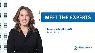 Meet the Experts Laura Vricella MD  Fetal Health [upl. by Nagaek233]