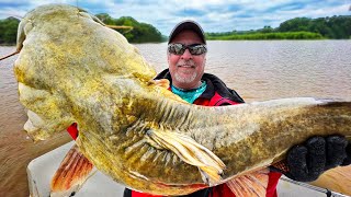 How to Catch Flathead Catfish During the Day [upl. by Ecirtal]