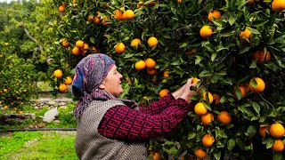 Farm Fresh Lunch  Cooking for Orange Harvest Workers [upl. by Julis]