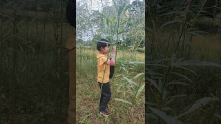 First Time Sanai Phool Todte huwegaon bagansimdegashortsvideo tribaldadabhauji [upl. by Buine]