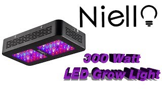 Testing The Niello 300 Watt LED Grow Light [upl. by Noval]