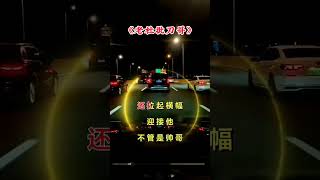 改编歌曲刀郎演唱会就怕歌词入了心 [upl. by Balfore]