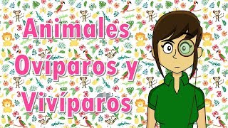 Clasificación de animales ovíparos vivíparos y ovivíparos [upl. by Nanci]