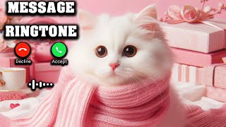 Notification Ringtone  Alarm Ringtone  Message Ringtone  SMS Ringtone  Best Ringtone [upl. by Alaet955]