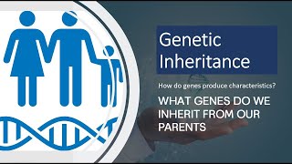 What Genes Do We Inherit from Our Parents  Genetic Inheritance Explained [upl. by Ingelbert]