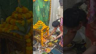 Satyanarayana vratham🙏Poojacelebrationvibes wedding viralvideo youtubeshorts shorts jmgf3 [upl. by Rondi]