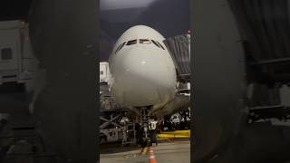 Singapore double decker flight flightvideo flightcrash flightvideo viralvideo shortvideo yt [upl. by Letsou]