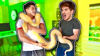 Gave Him CUTEST SURPRISE EVER ft Joey Graceffa [upl. by Firooc]