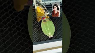 Stall leaf painting leaf engraving machine shorts [upl. by Ysset]