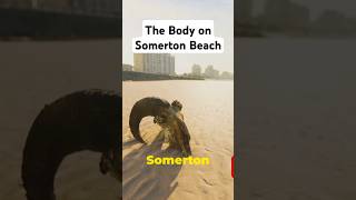 The Body on Somerton Beach history mystery facts mysterious ocean [upl. by Ellora]