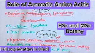 Role of aromatic amino acidsTyrosinePhenylalaninetryptophanPlant metabolismBsc and MSc botany [upl. by Noitsirhc]