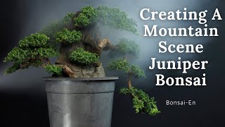 Juniper Bonsai Rock Planting [upl. by Berlin]