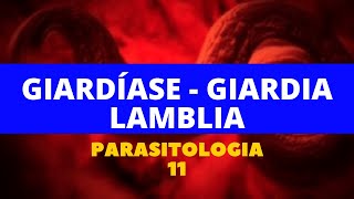 GIARDÍASE  GIARDIA LAMBLIA  PARASITOLOGIA 11 [upl. by Acirederf]