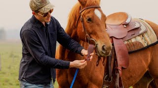 How to Attach A Mecate to Your Snaffle Bit Quick amp Easy [upl. by Nahtannoj81]